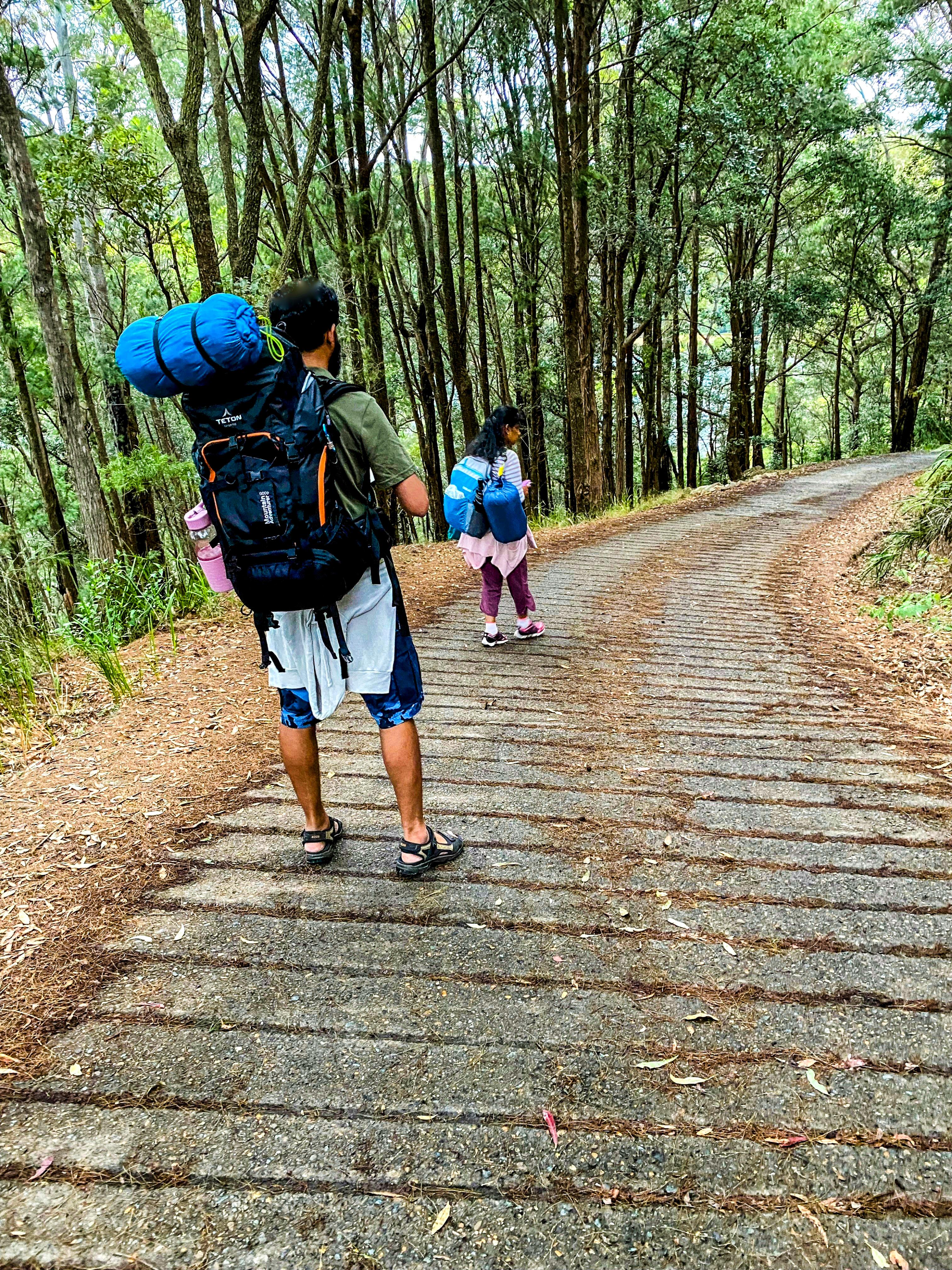 The Basin Trail